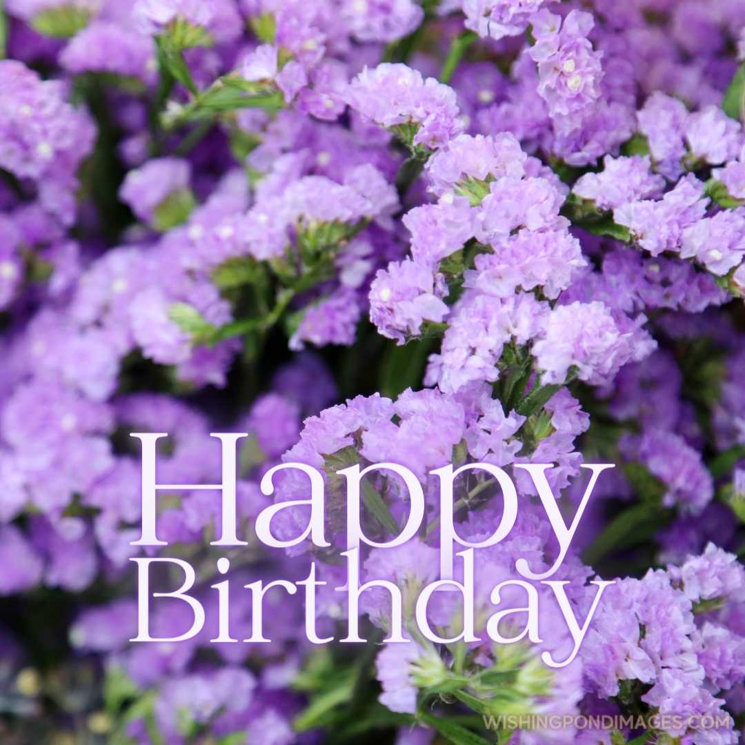 Beautiful picture of Purple flowers. Happy Birthday Purple Flower Images